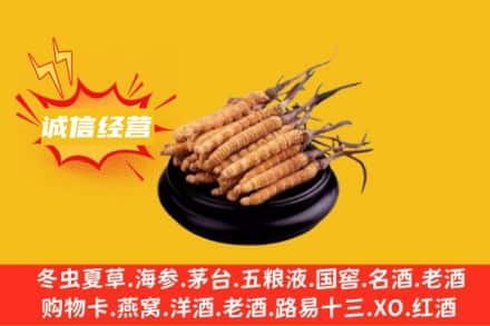 铁岭回收冬虫夏草